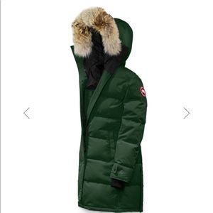 Algonquin Green Canada Goose Shelburne Large